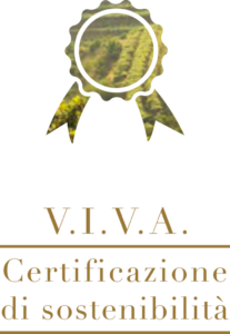 LOGO VIVA